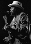 Luther 'Guitar Junior' Johnson, 17 mars 2000, Villepinte, festival 'Banlieues Bleues'